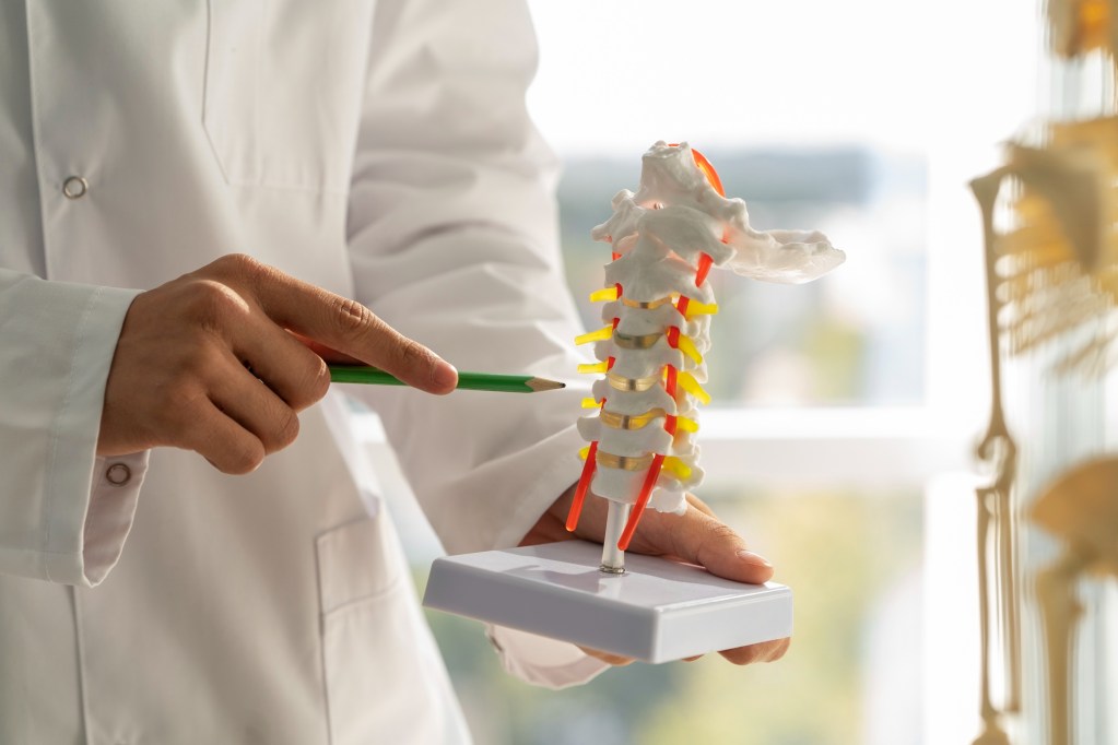Work & Auto Injury Rehab